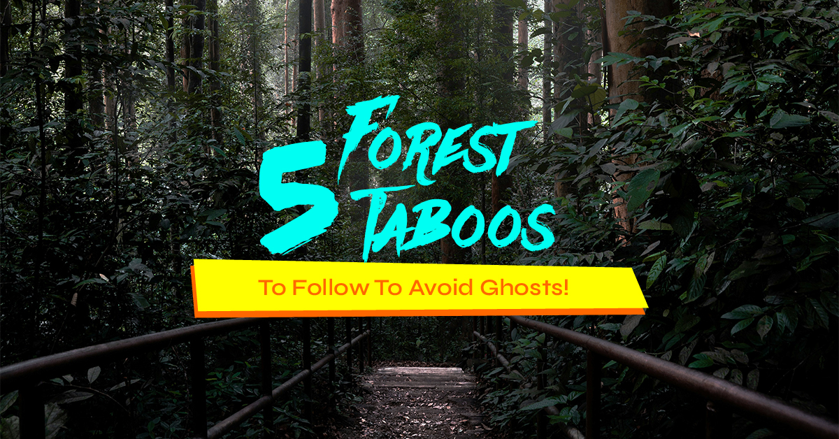 5 Forest Taboos Article Cover Image