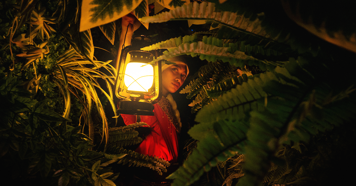Rimba Paragraph Image