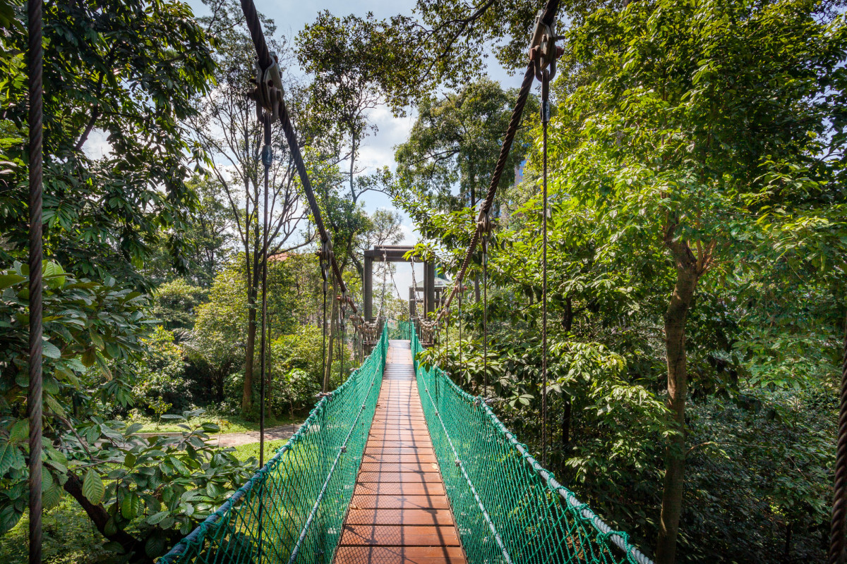 24 Hours in KL Hauntu Blog : Canopy Walk