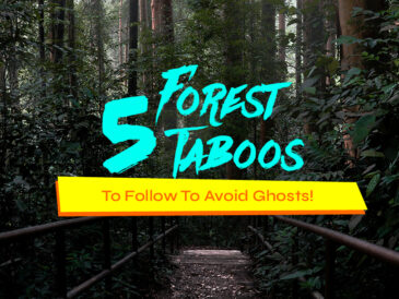 5 Forest Taboos Article Cover Image