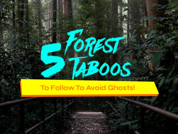 5 Forest Taboos Article Cover Image